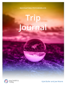 Navigating Psychedelics: Trip Journal