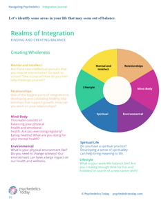 Navigating Psychedelics: Integration Workbook